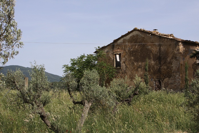 Toscane 09 - 091 - Paysages